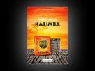Cinesamples Kalimba