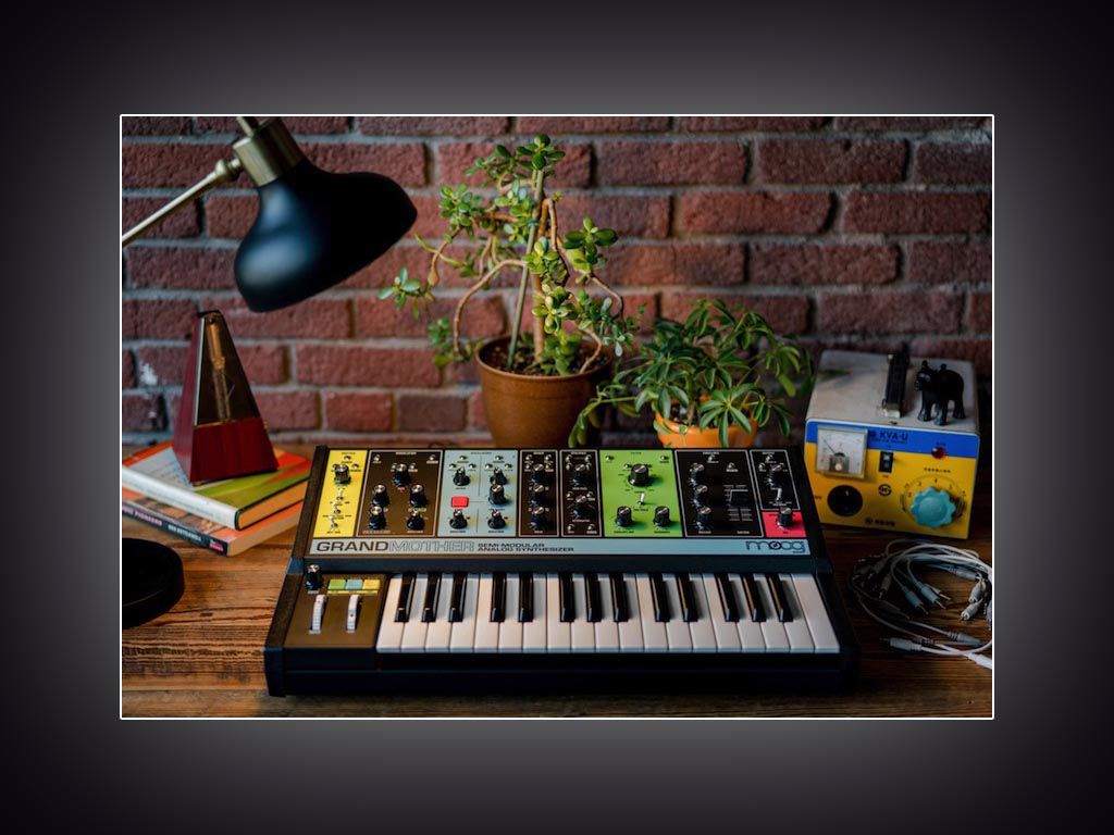 MegaDeal Moog chez Woodbrass