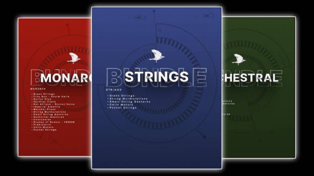 The Crow Hill Company fait son Black Friday !