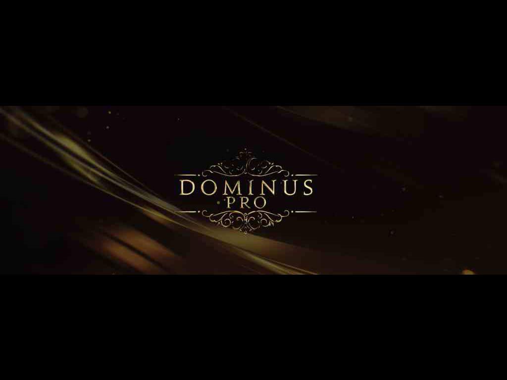 Fluffy Audio présente Dominus Choir Pro