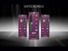 Slate Digital pr&eacute;sente le Gate Bundle